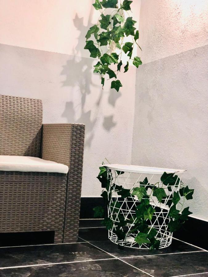 Appartement Amonia House